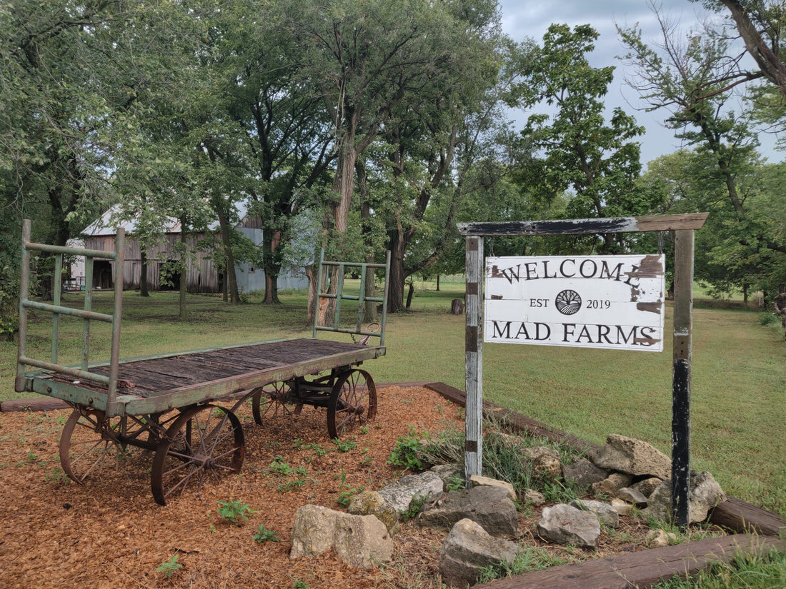Meet M.A.D. Farms: Meat That's Making a Difference