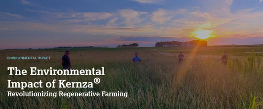 Kernza®: Wheat's More Sustainable Cousin