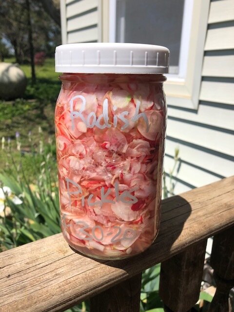 Radish Pickles