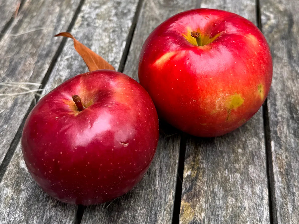 Apples - CrimsonCrisp