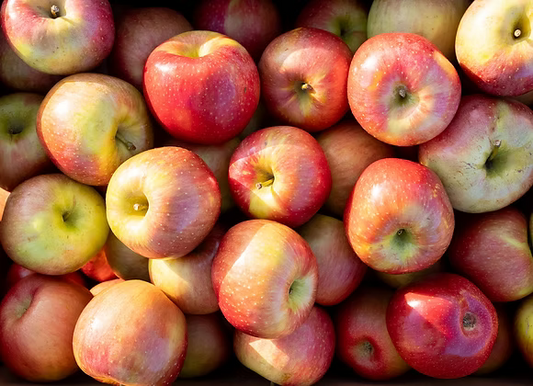 Apples - Evercrisp