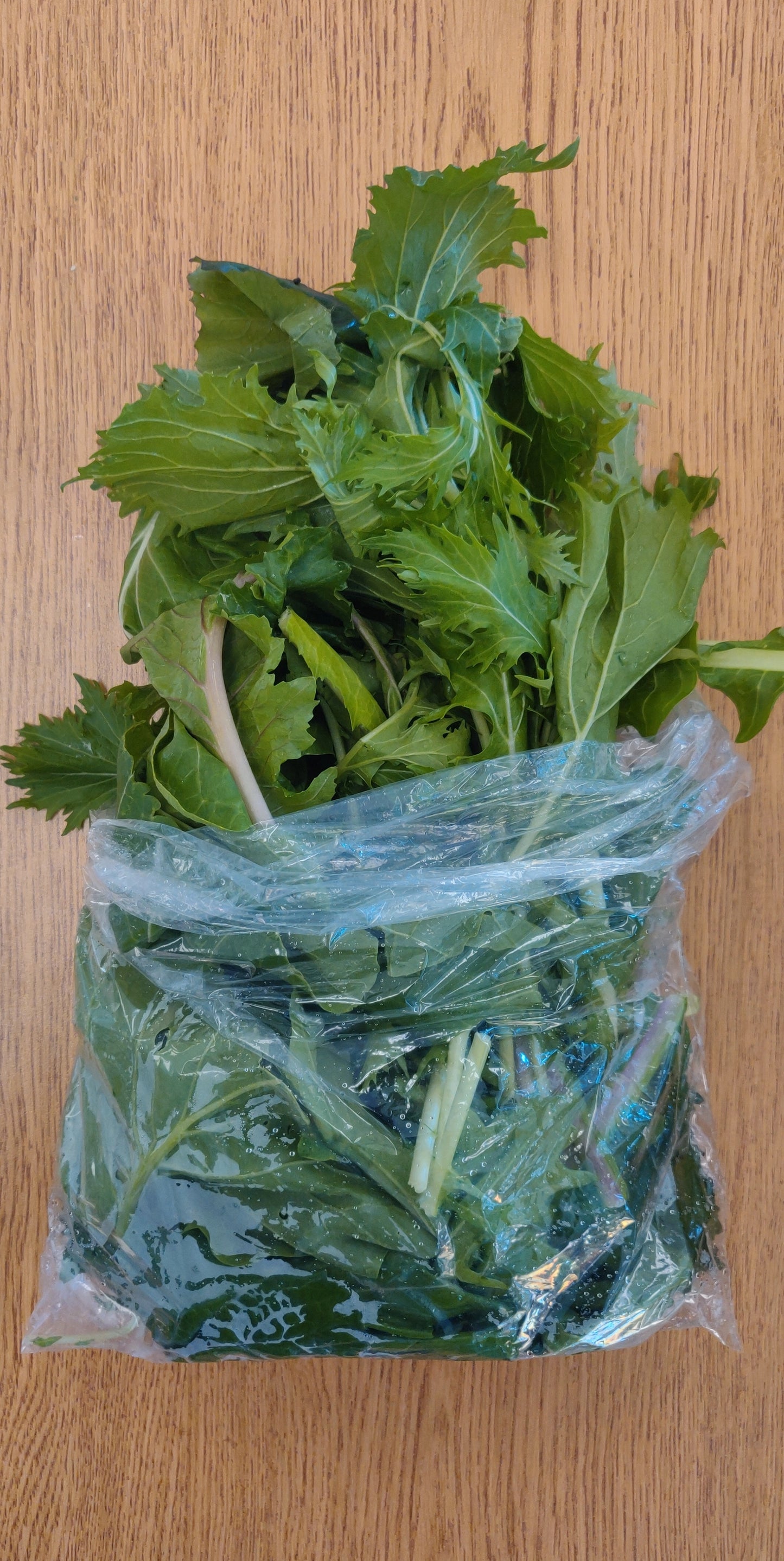 Asian Greens - Discounted