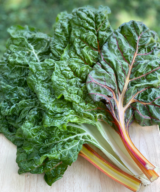 Rainbow Chard