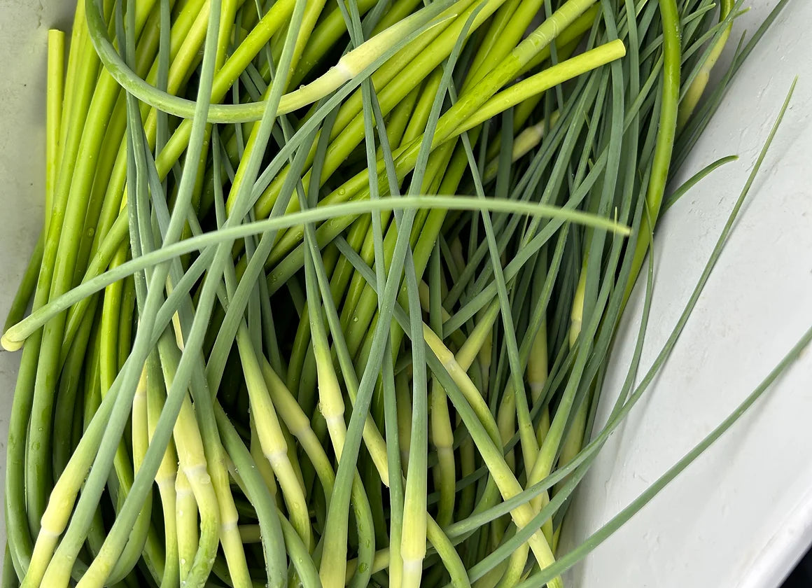 Garlic Scapes
