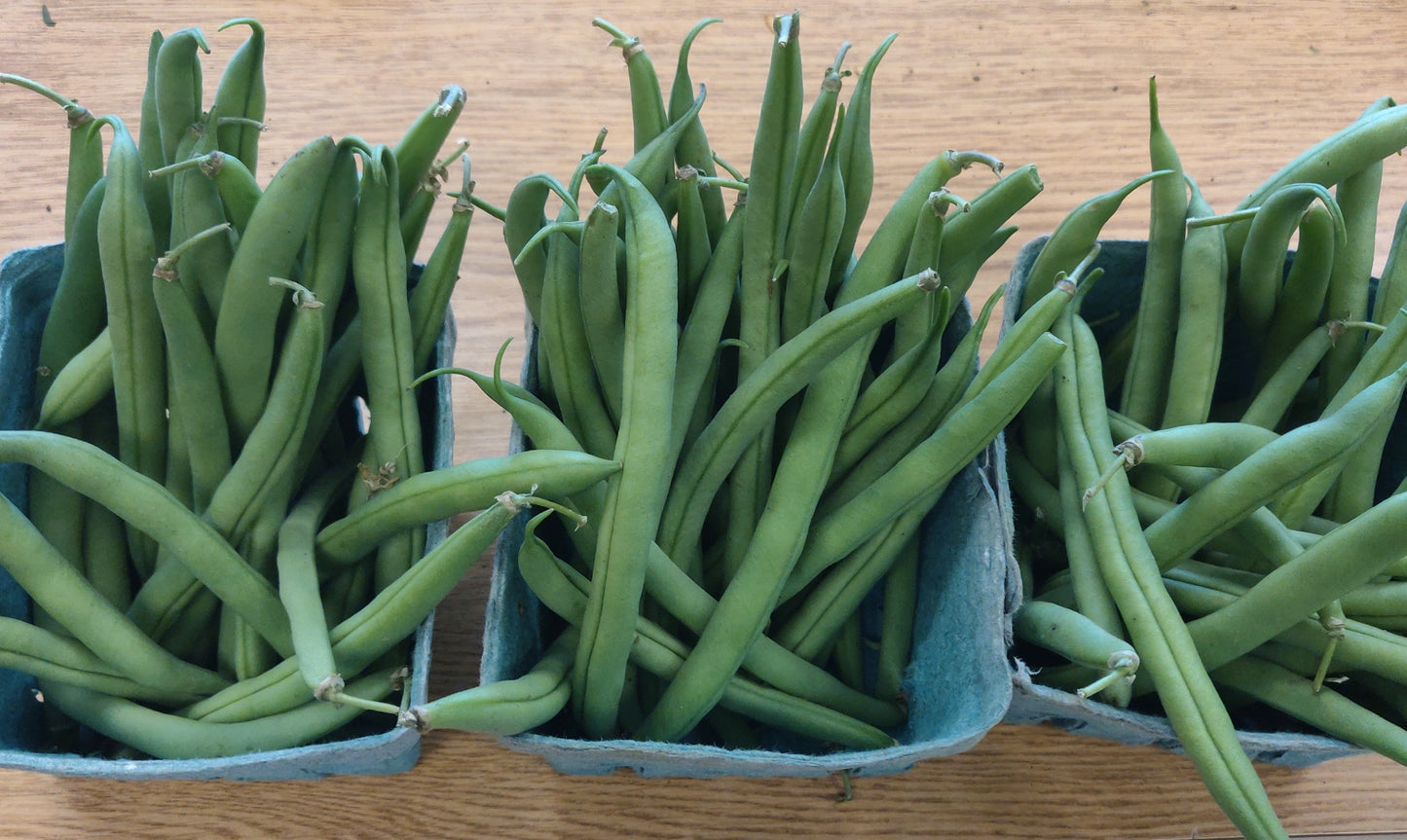 Green Beans