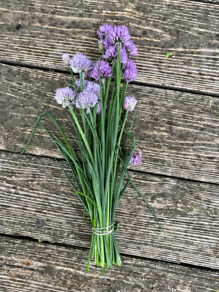 Chives
