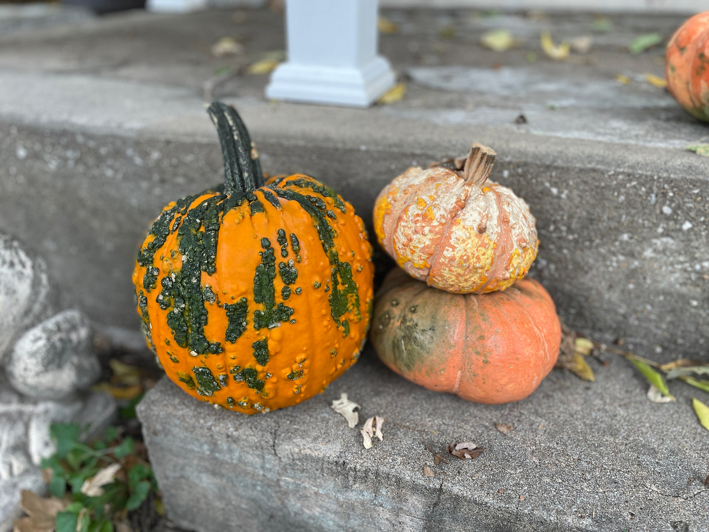 Pumpkin - Decorative