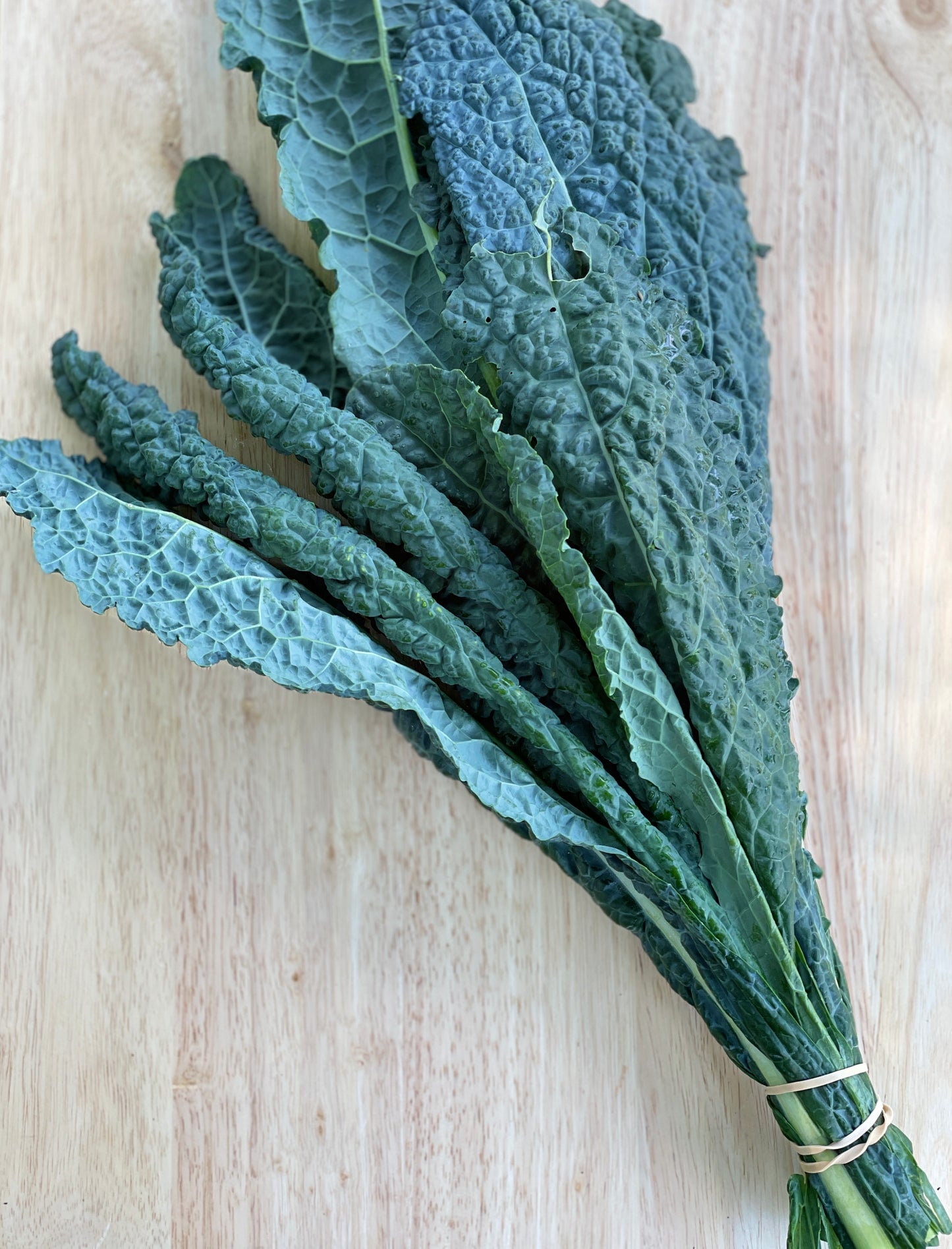 Kale - Lacinato