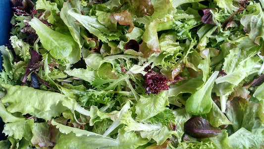 Lettuce Mix