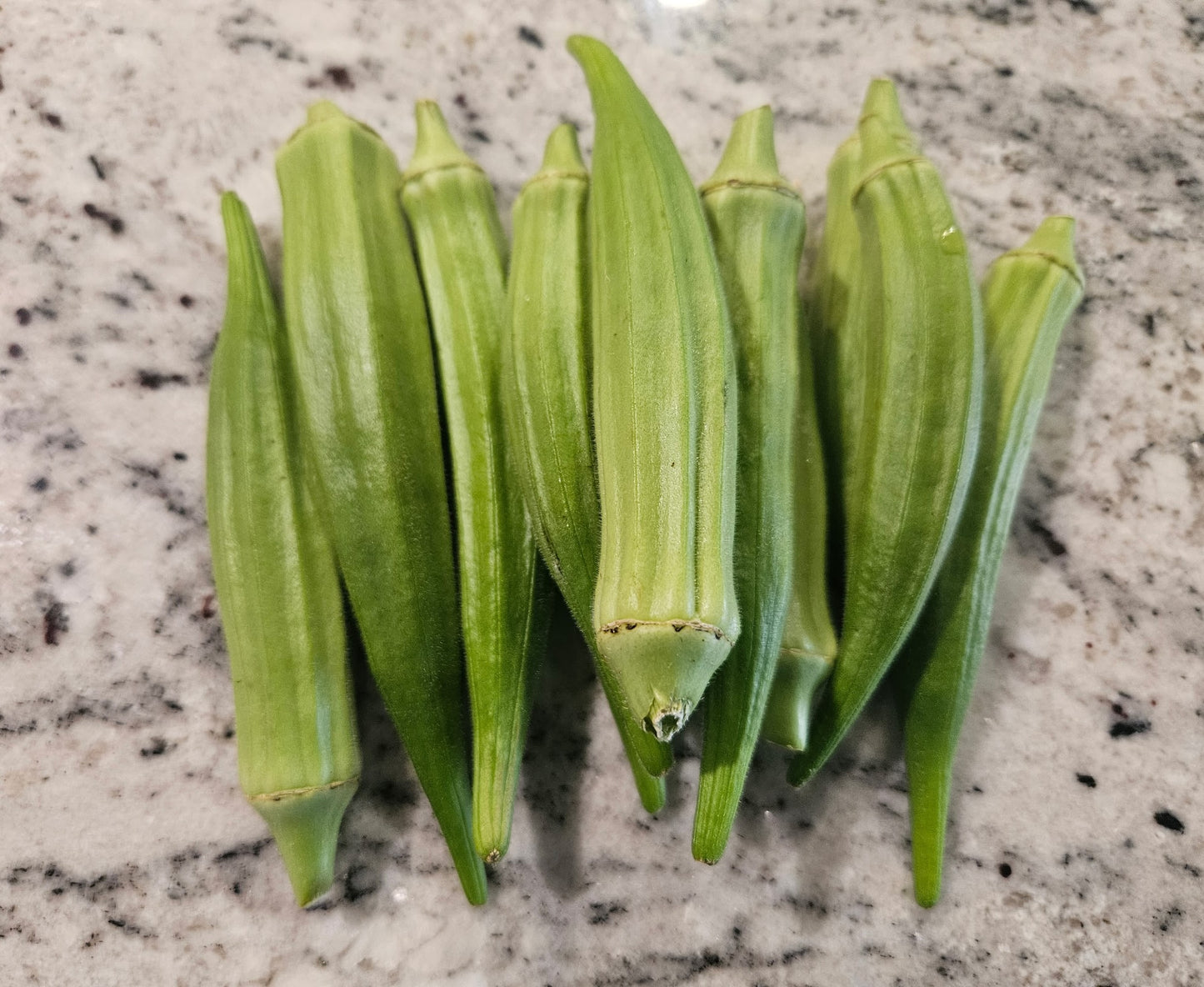 Okra