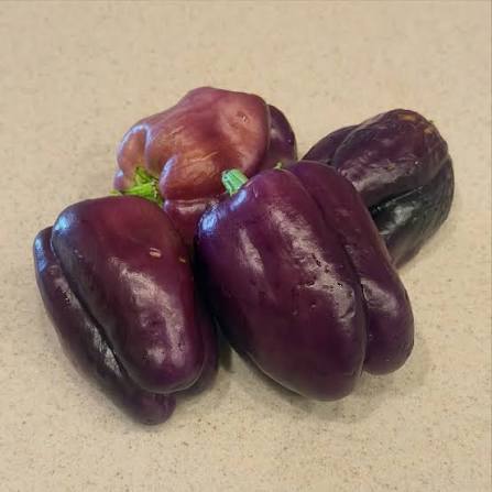 Peppers - Purple-Orange Bell