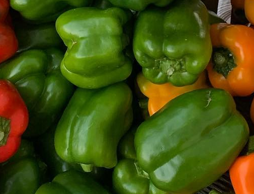 Peppers - Green Bell