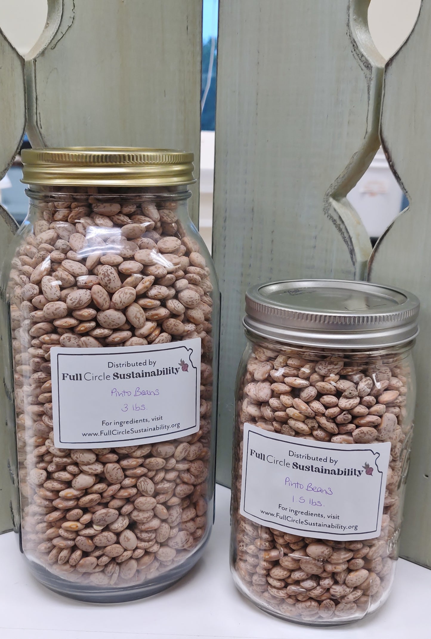 Beans - Pinto