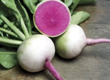 Radishes - Watermelon