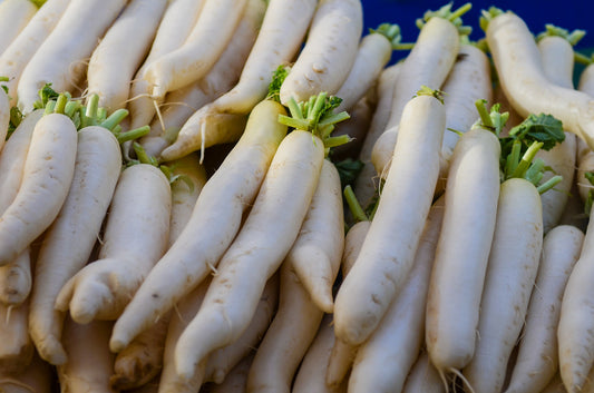 Radishes - White Daikon