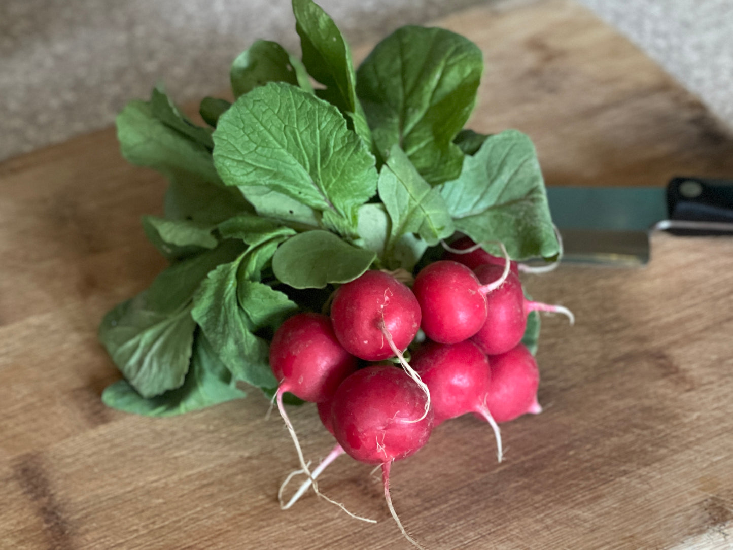 Radishes - Red