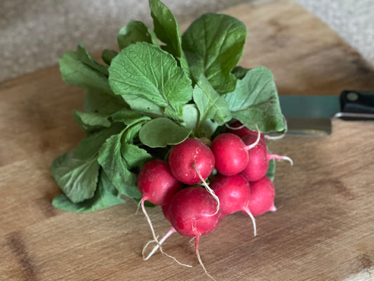 Radishes - Red
