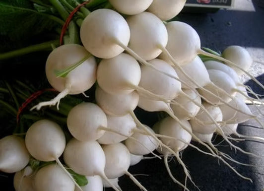 Turnips - Salad