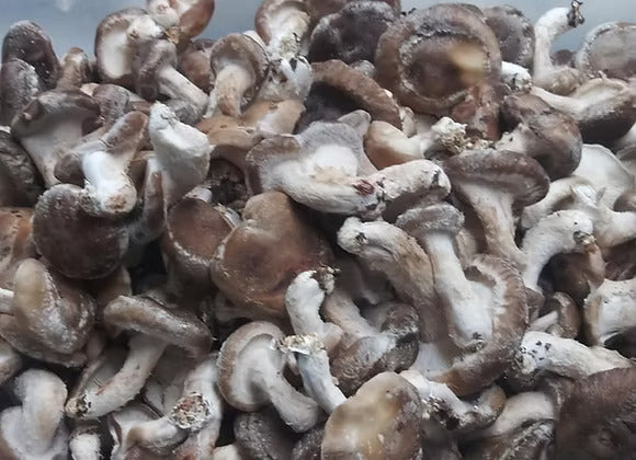 Mushrooms - Shiitake - Discounted