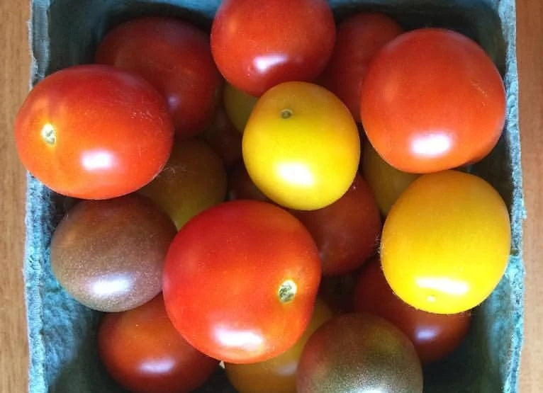 Tomatoes - Cherry