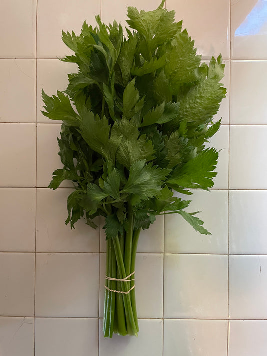 Parsley - Flat Leaf