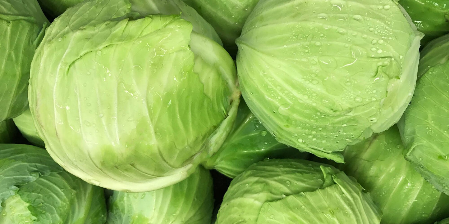 Cabbage - Green