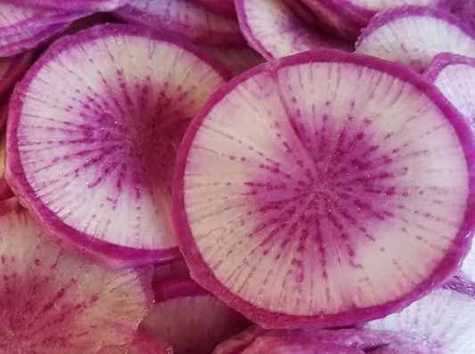 Radishes - Purple Daikon