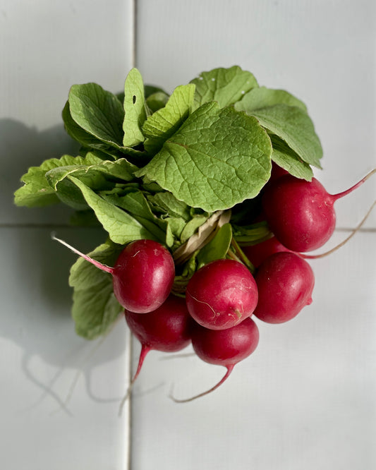Radishes - Red