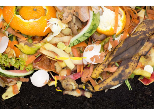 Compost Collection Is Here!