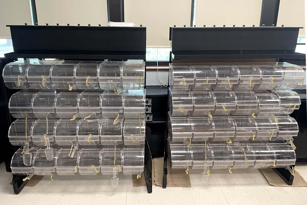 A Bulk Bin Update
