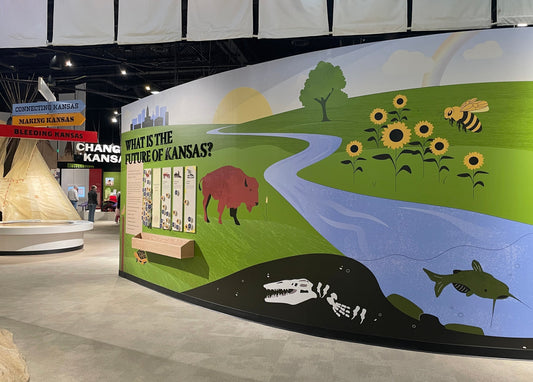 On Bison: Charging Forward, Reflecting the Past