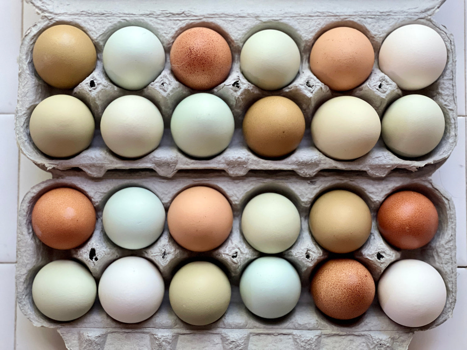Eggs, Tofu & Dairy