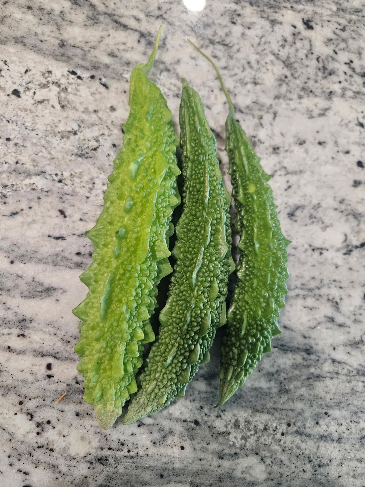 Bitter Melon