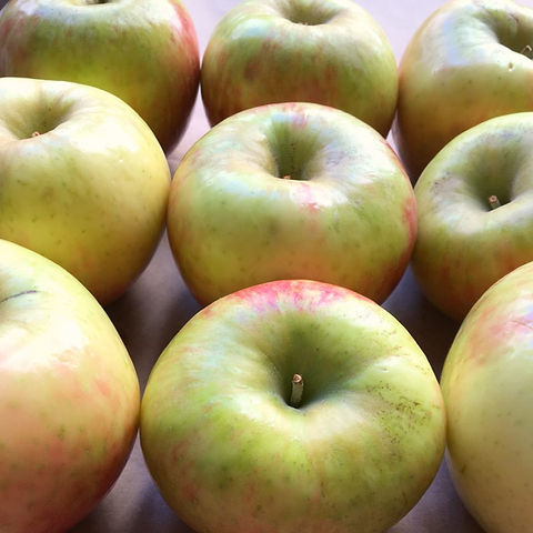 Apples - Autumn Crisp