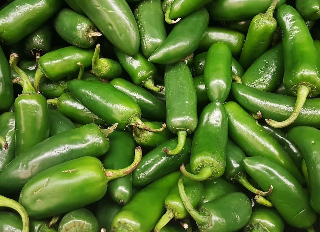 Peppers - Jalapeño