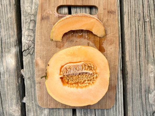 Cantaloupe