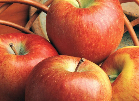 Apples - Braeburn