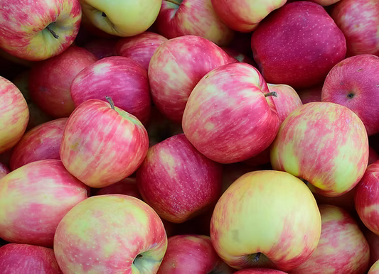 Apples - Jonagold