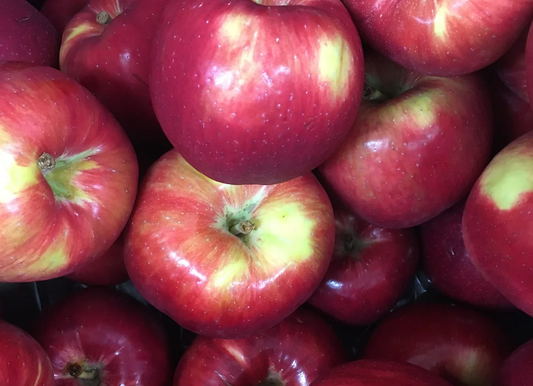 Apples - Sweet Maia