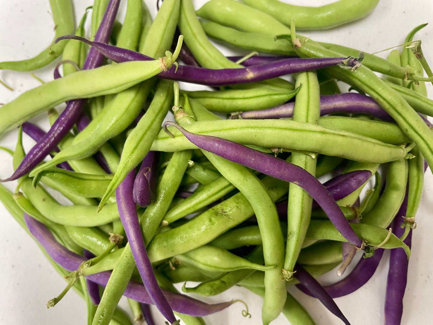 Tri-Color Snap Beans