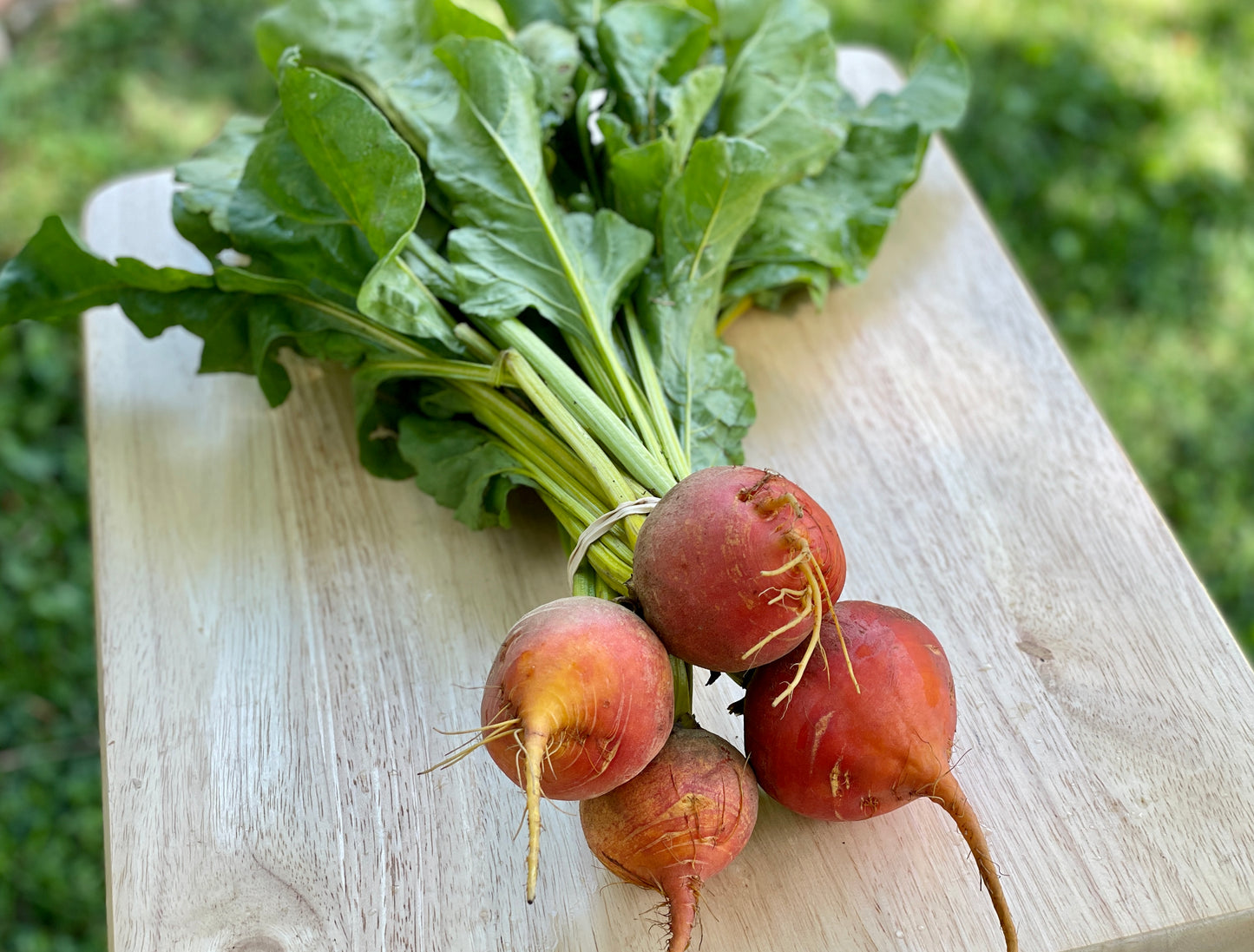 Beets - Red