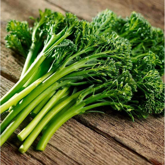Broccolini