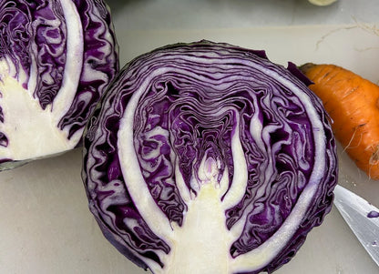 Cabbage - Red