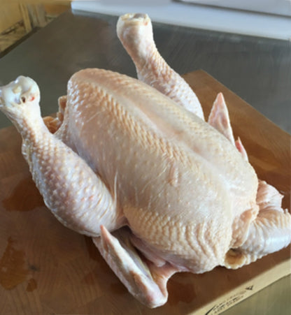 Chicken - Whole or Half