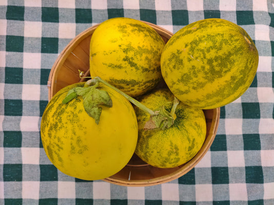Cucumbers - Lemon