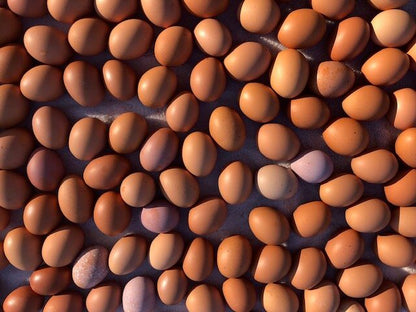 Eggs