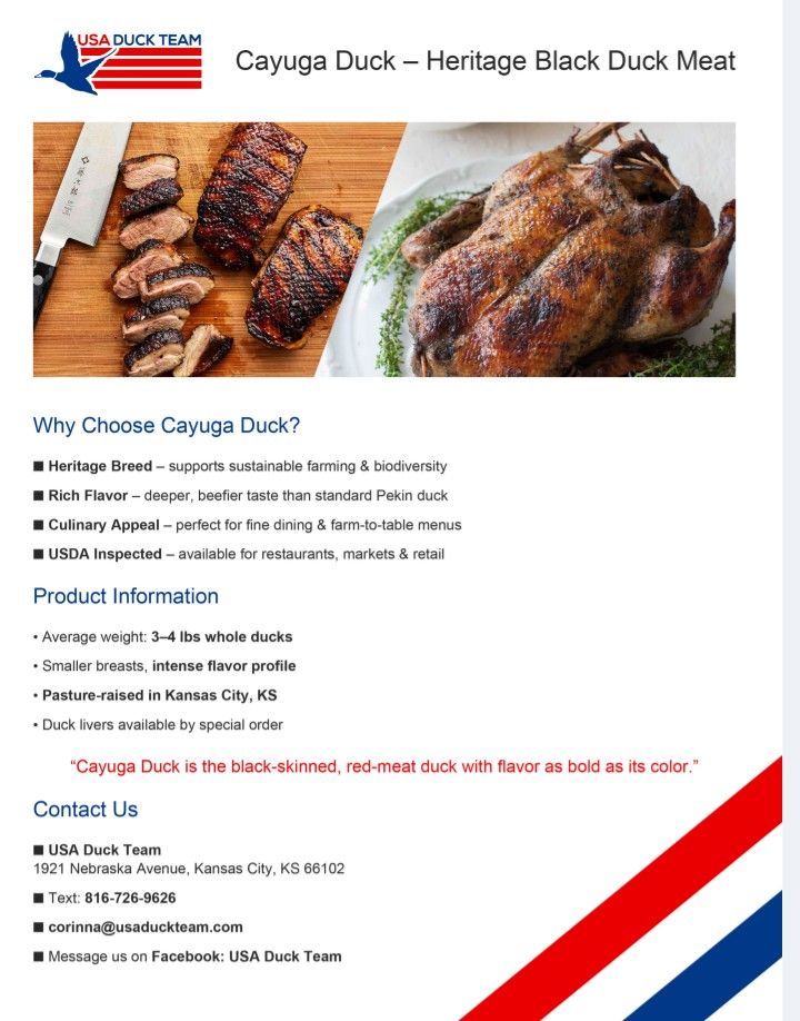 Duck - Whole