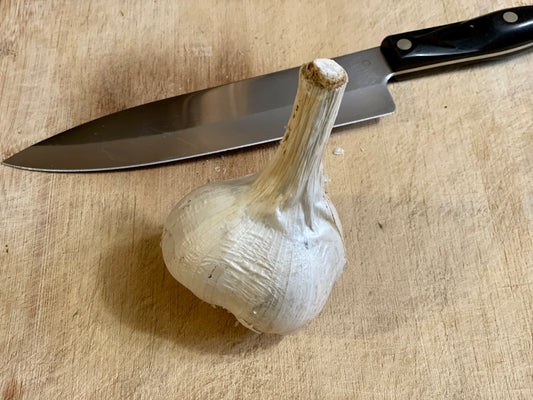 Garlic - Elephant