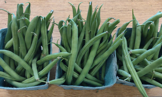 Green Beans