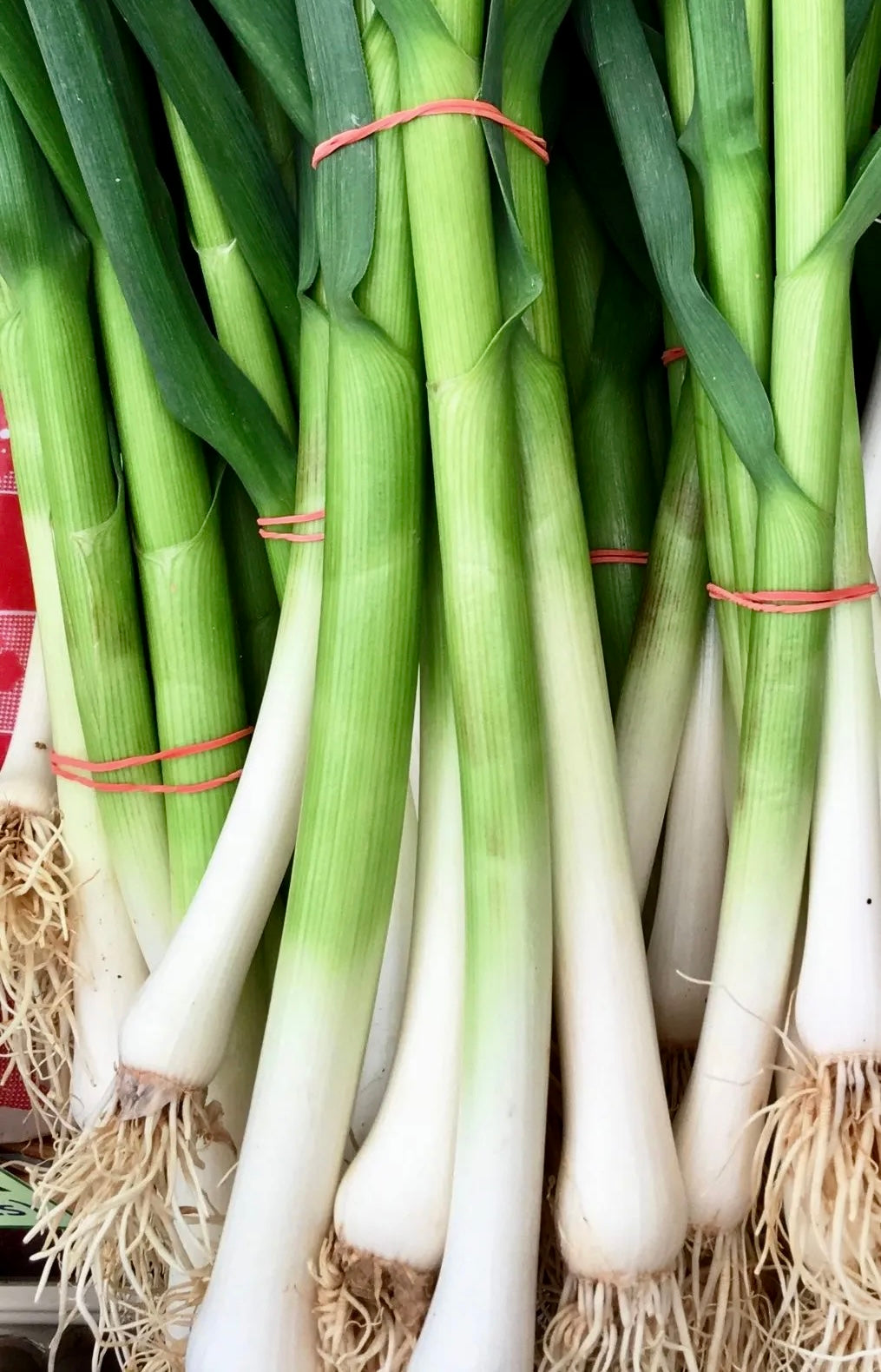 Green Onions